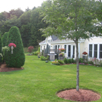 The Community Center